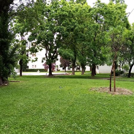 Chambre Double Greg En Colocation Montpellier Kültér fotó