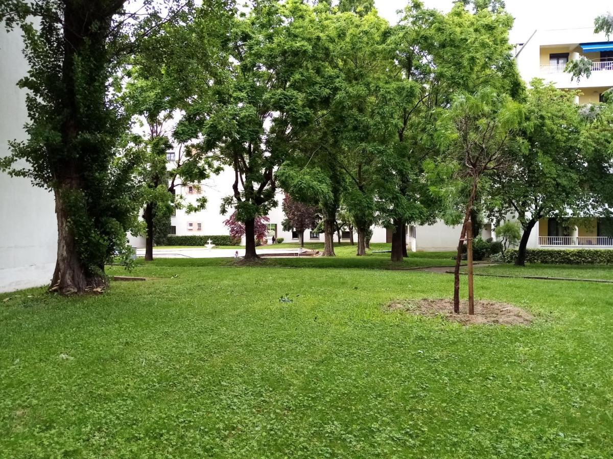 Chambre Double Greg En Colocation Montpellier Kültér fotó